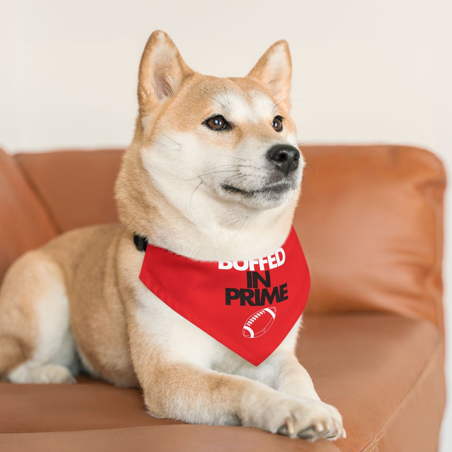 BIP Pet Bandana Collar