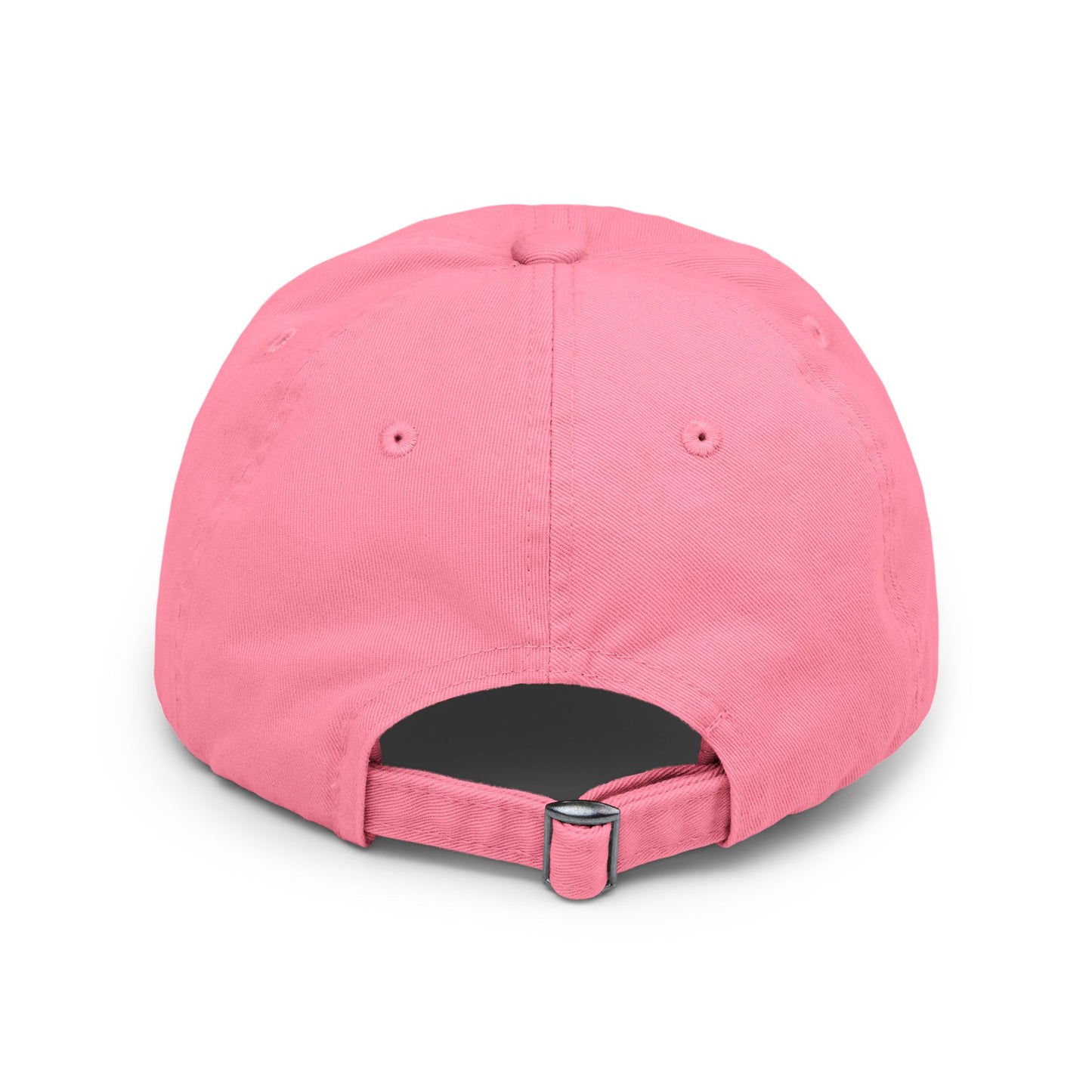BIP University Distressed Cap