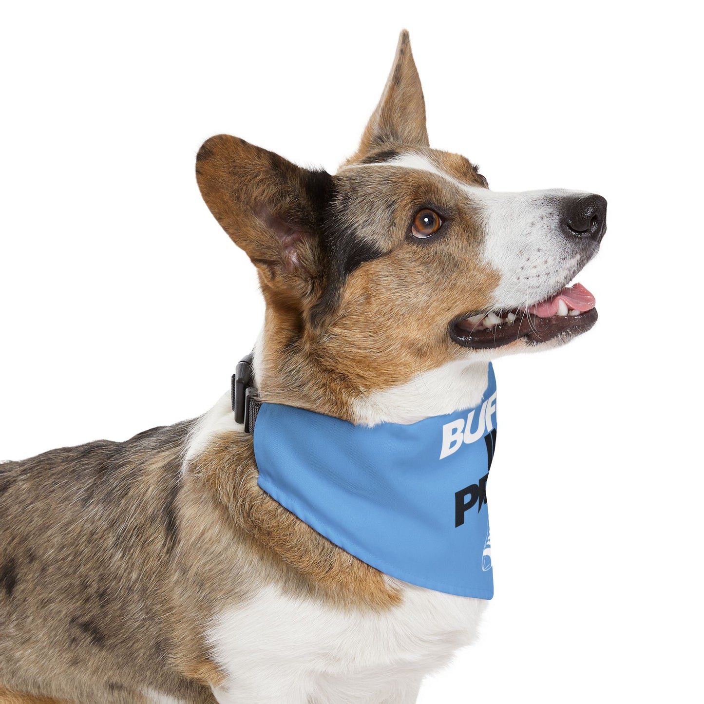 BIP Pet Bandana Collar