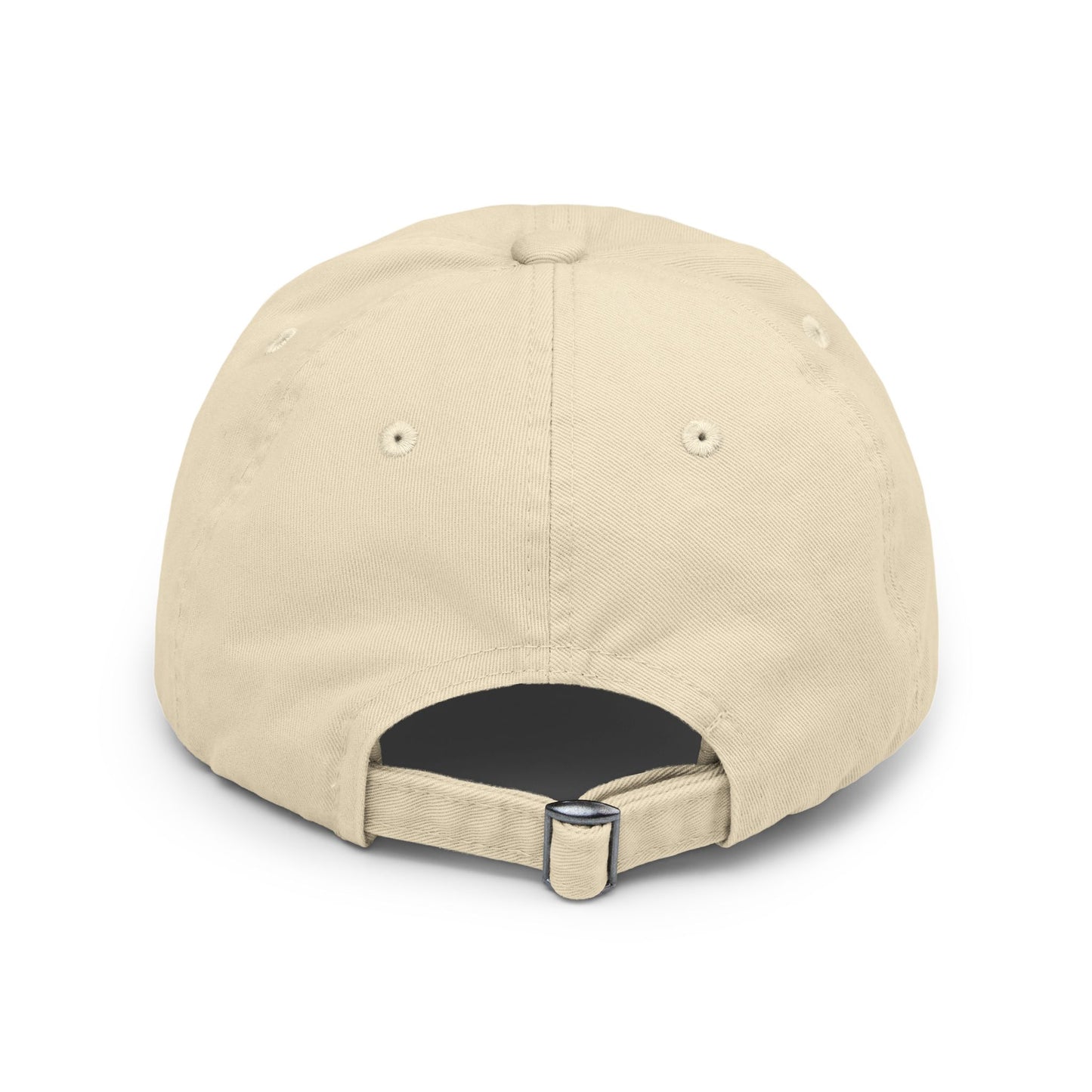 BIP University Distressed Cap