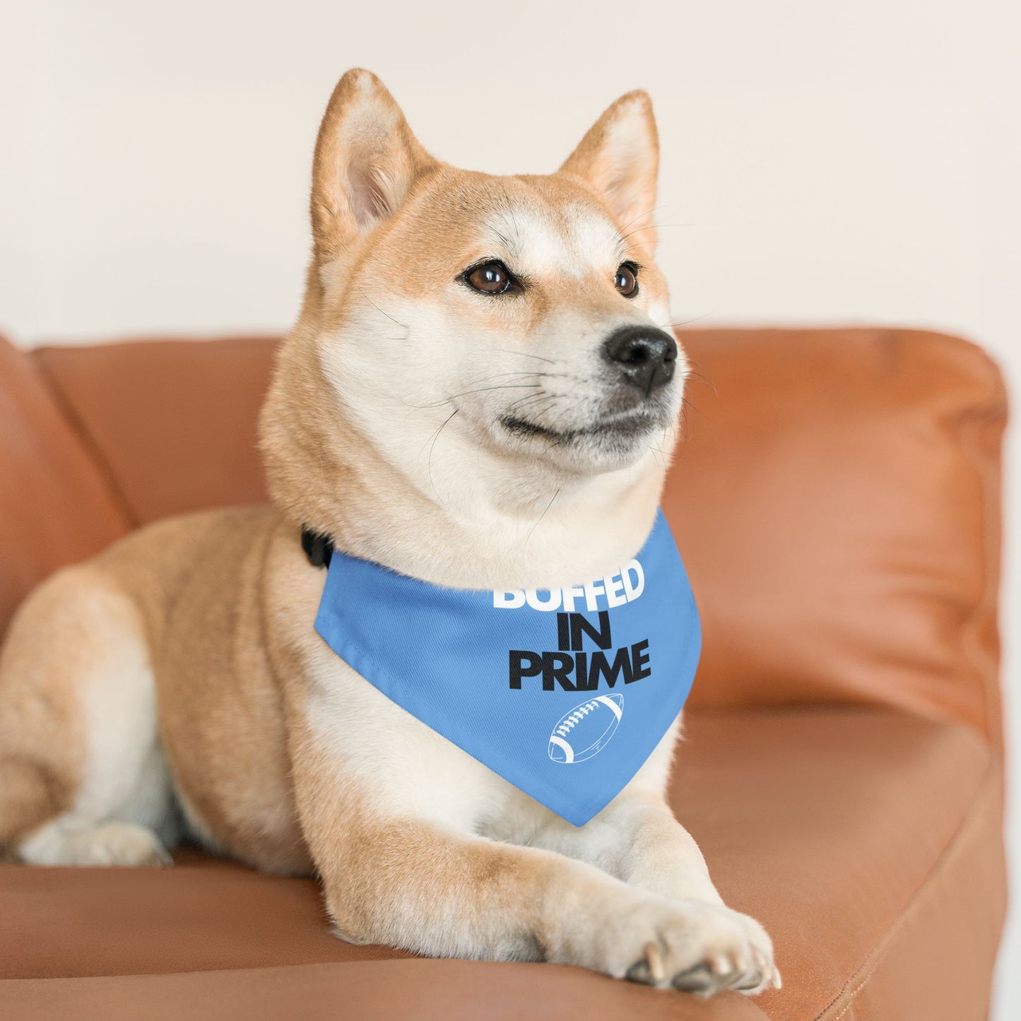 BIP Pet Bandana Collar