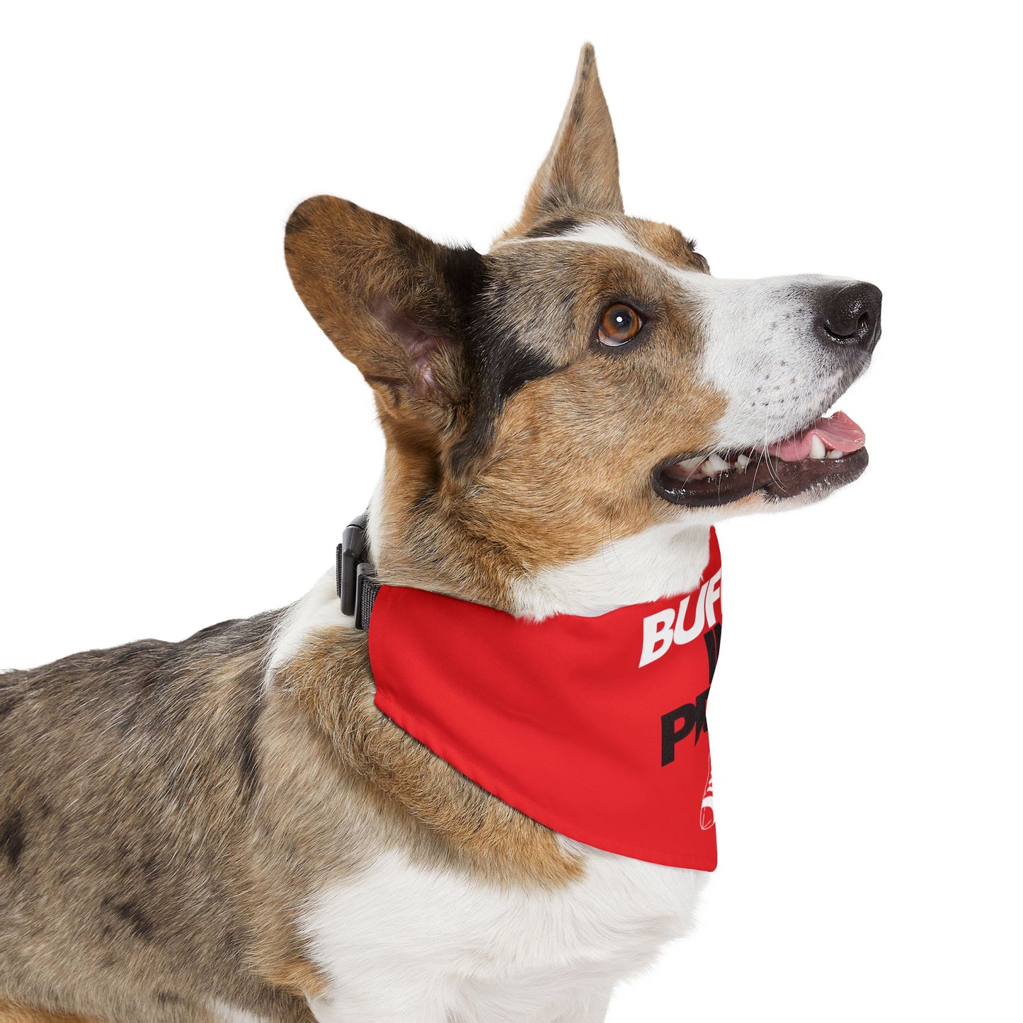 BIP Pet Bandana Collar