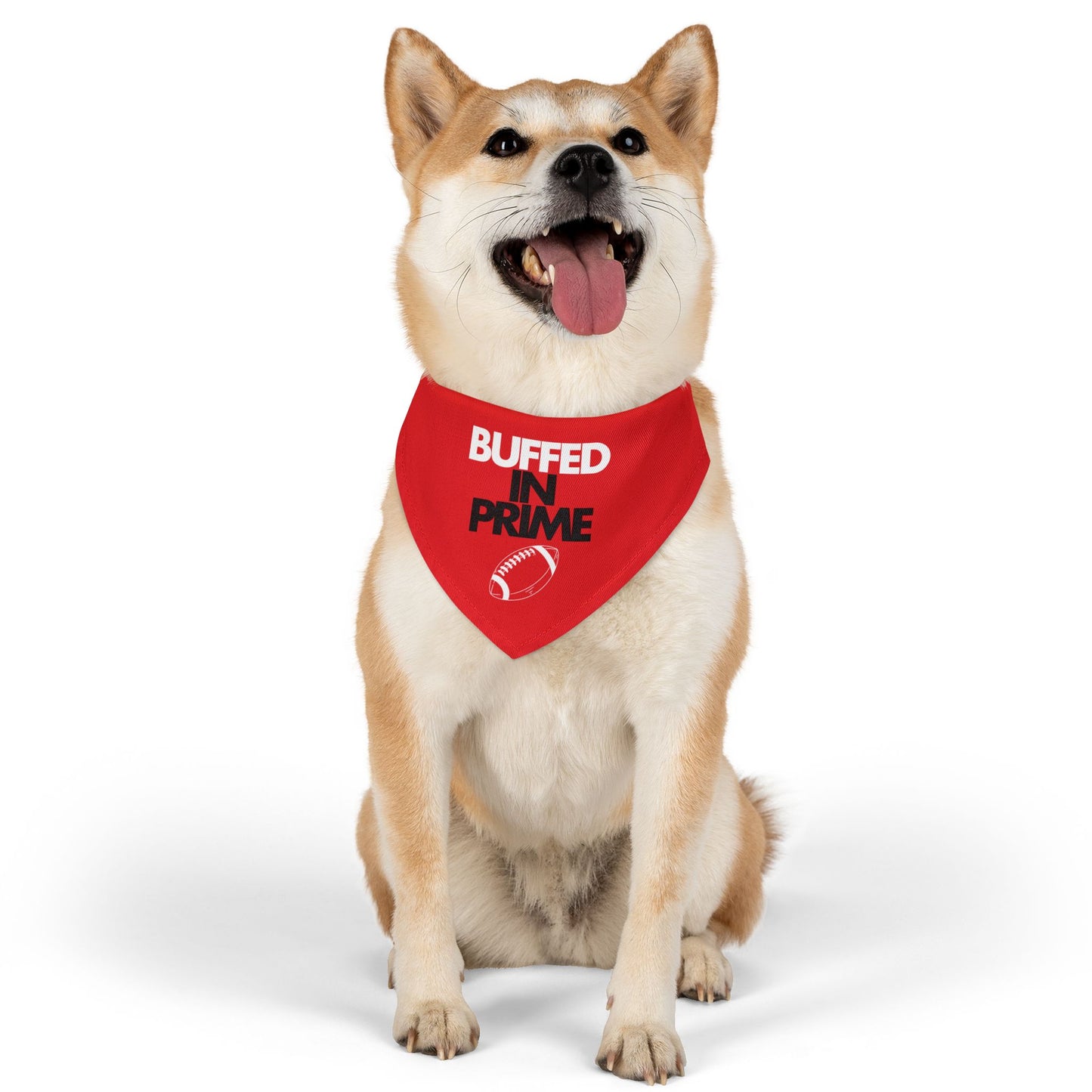 BIP Pet Bandana Collar