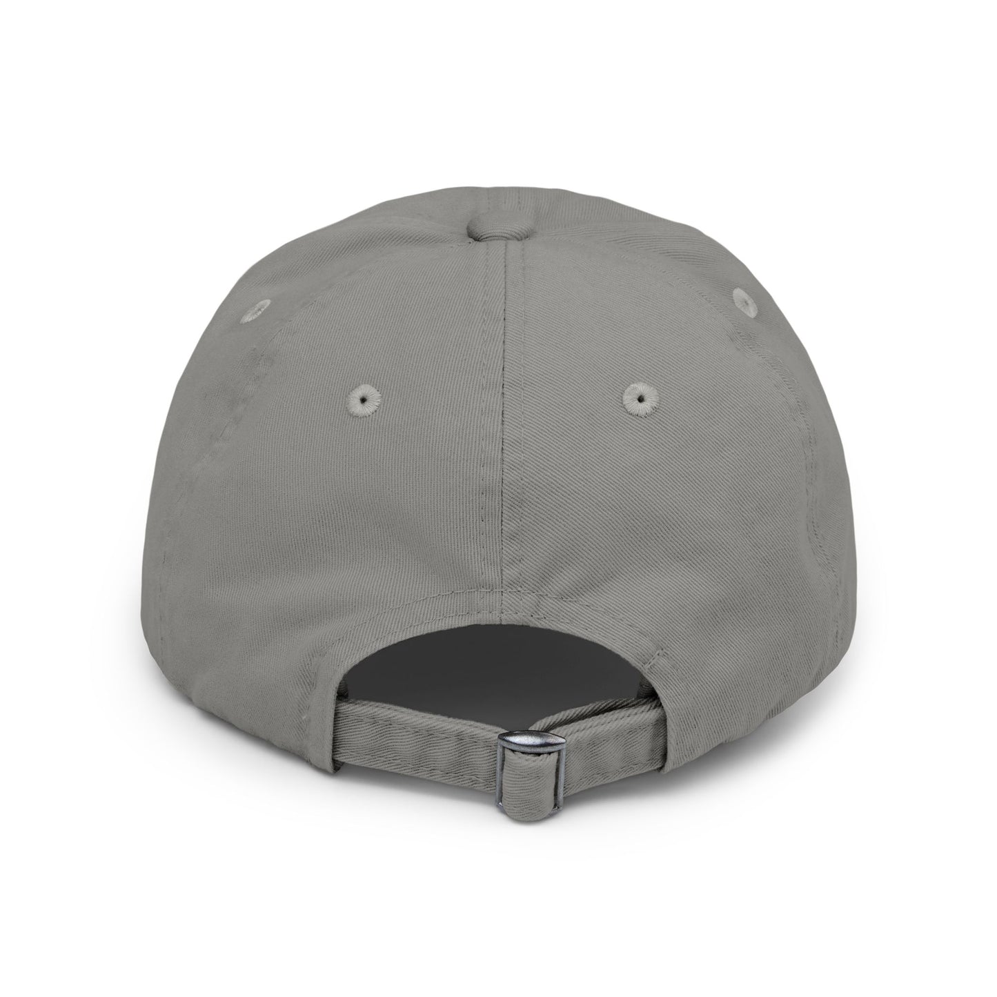 BIP University Distressed Cap
