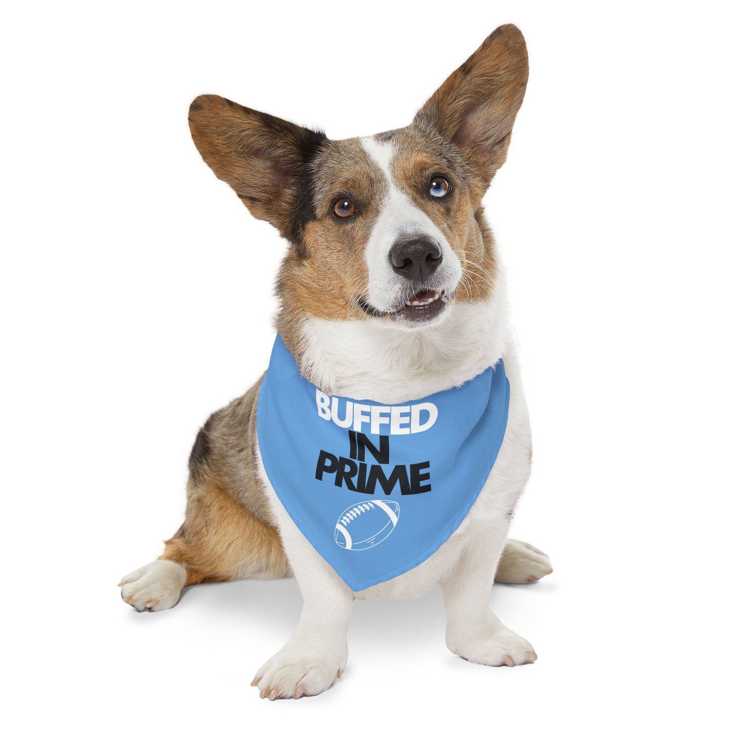 BIP Pet Bandana Collar