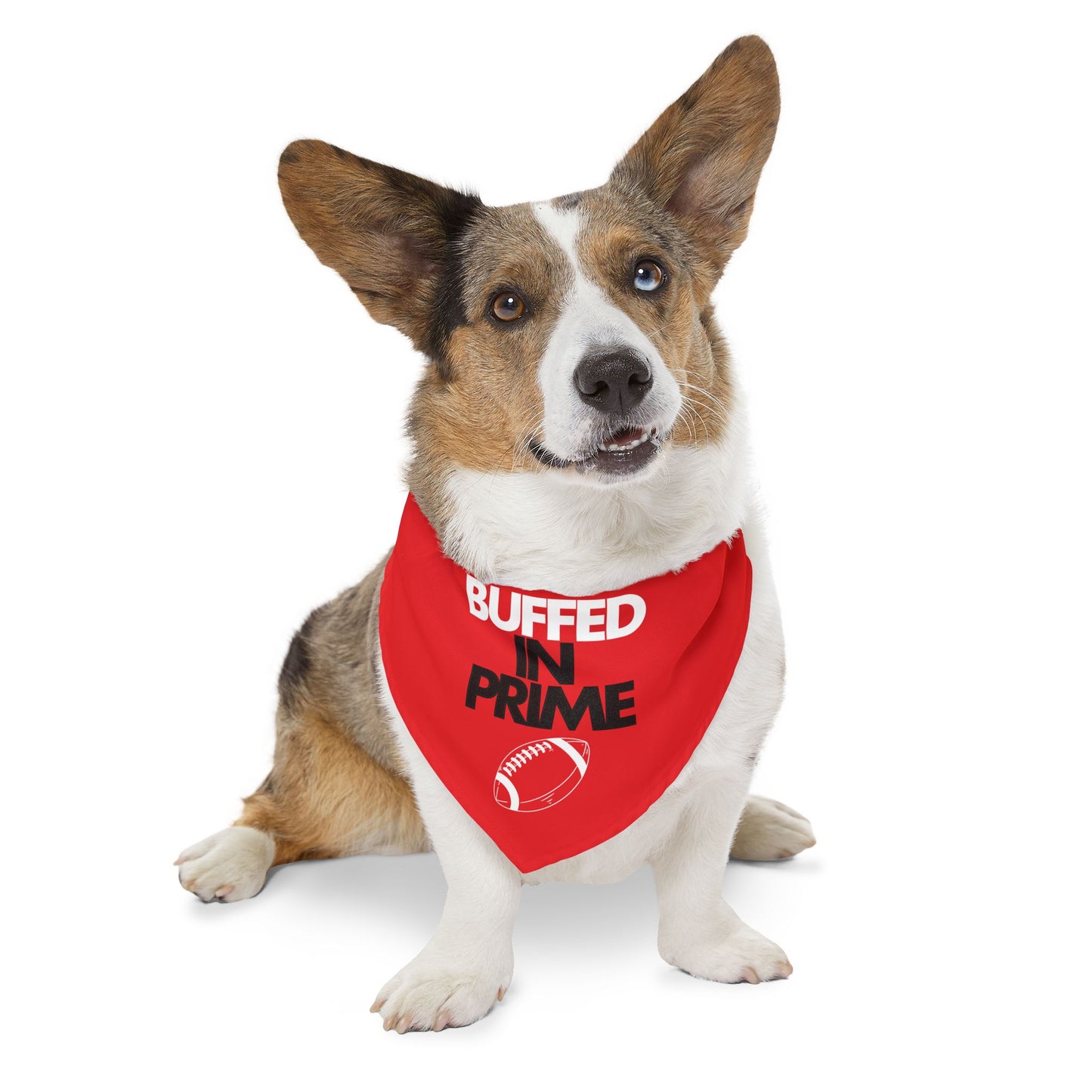 BIP Pet Bandana Collar