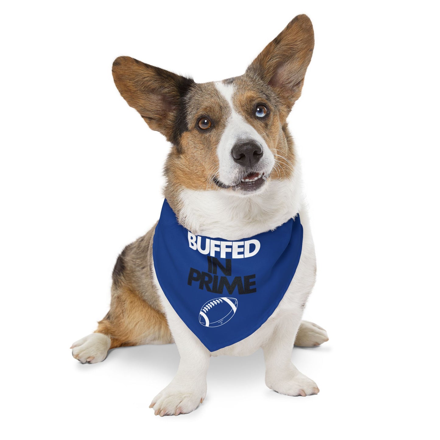 Copy of BIP Pet Bandana Collar