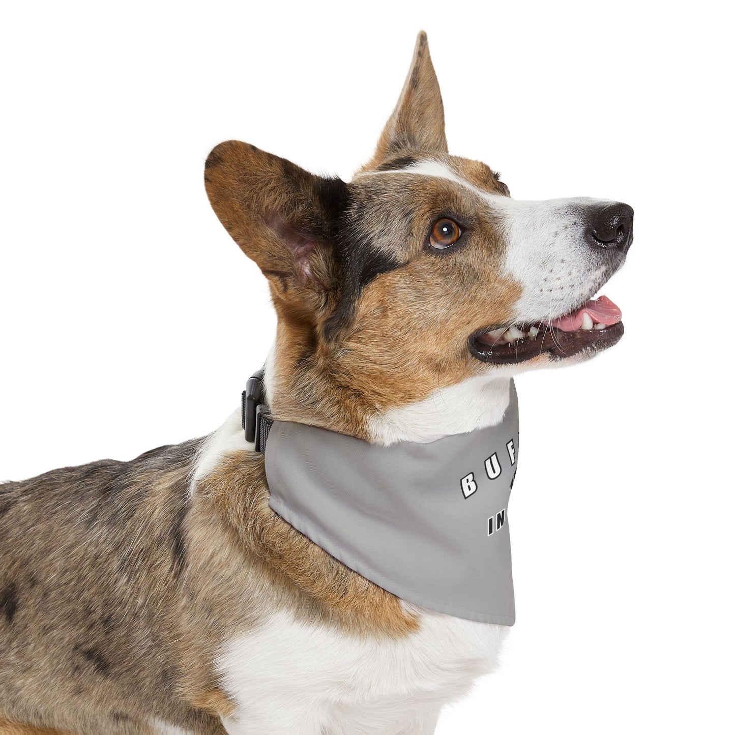 BIP Pet Bandana Collar