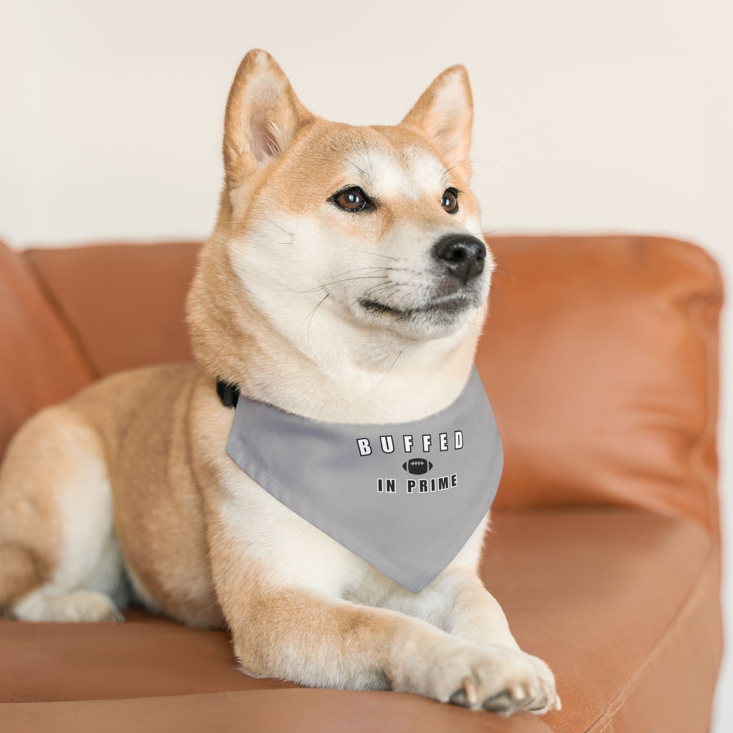 BIP Pet Bandana Collar