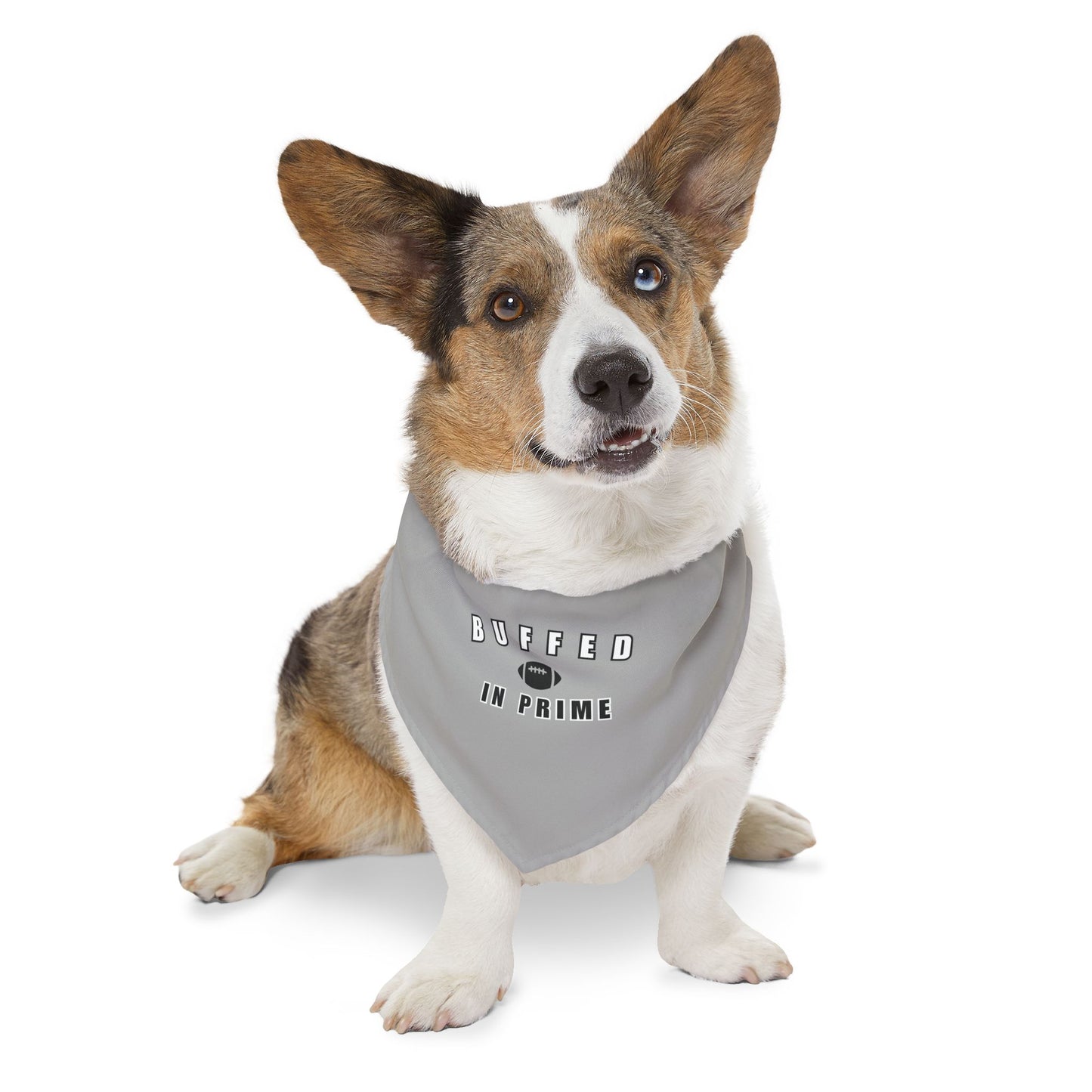 BIP Pet Bandana Collar