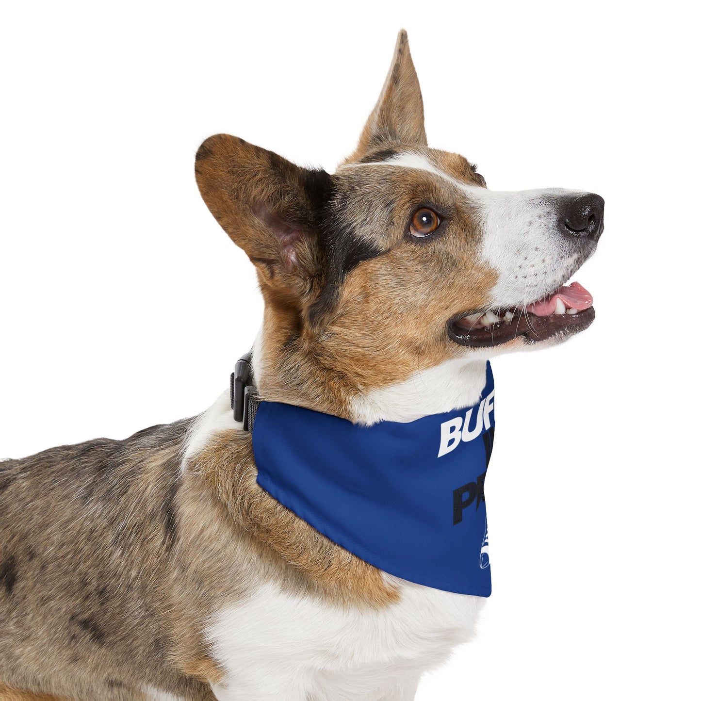 Copy of BIP Pet Bandana Collar